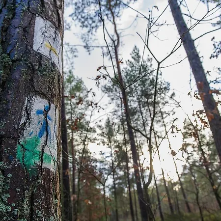 Retro House Holiday home *