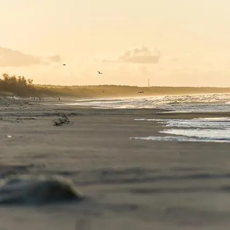 Retro House Holiday home Sztutowo