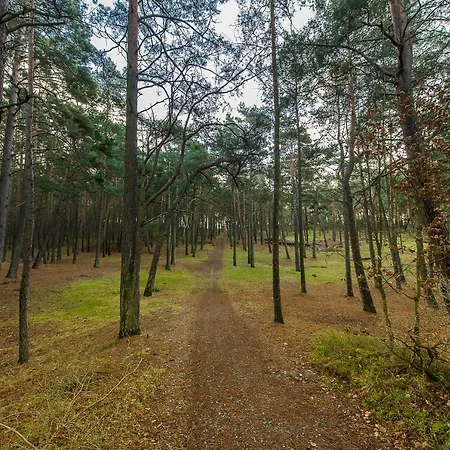 Retro House Holiday home Sztutowo