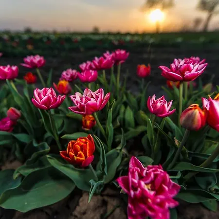 Retro House Holiday home