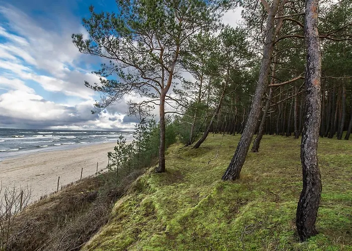 Semesterbostad Retro House *