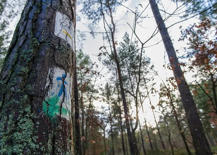 Retro House 펜션 *