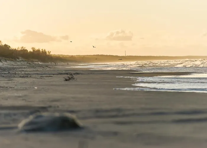 Retro House 펜션 슈투토보