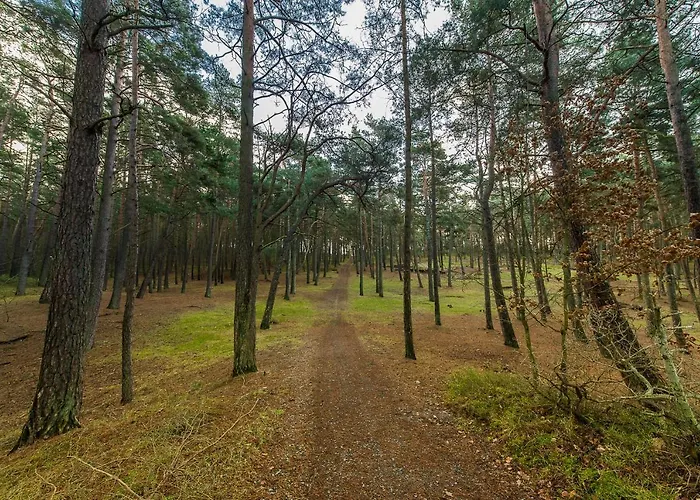 Retro House 펜션 슈투토보