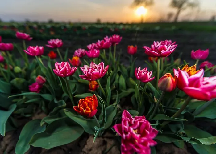 Retro House Semesterbostad